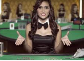 46倍狮子森林舞会2024最新版